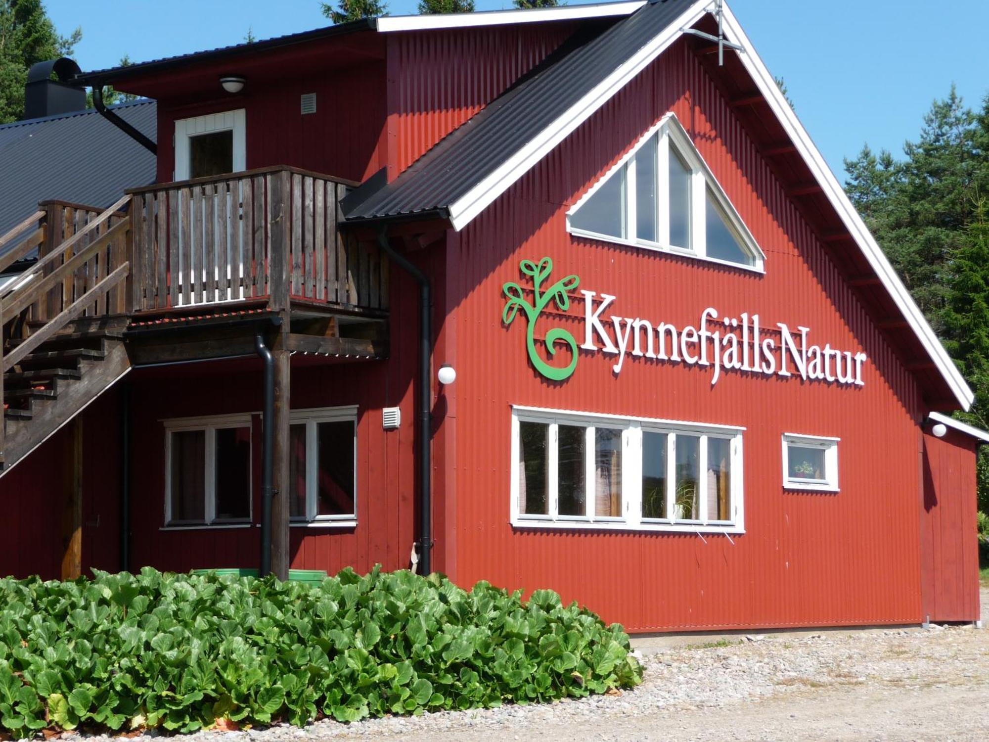 Hedekas Kynnefjaellsnatur المظهر الخارجي الصورة