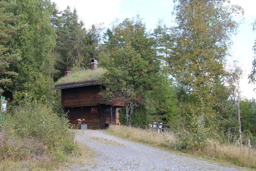 Hedekas Kynnefjaellsnatur المظهر الخارجي الصورة
